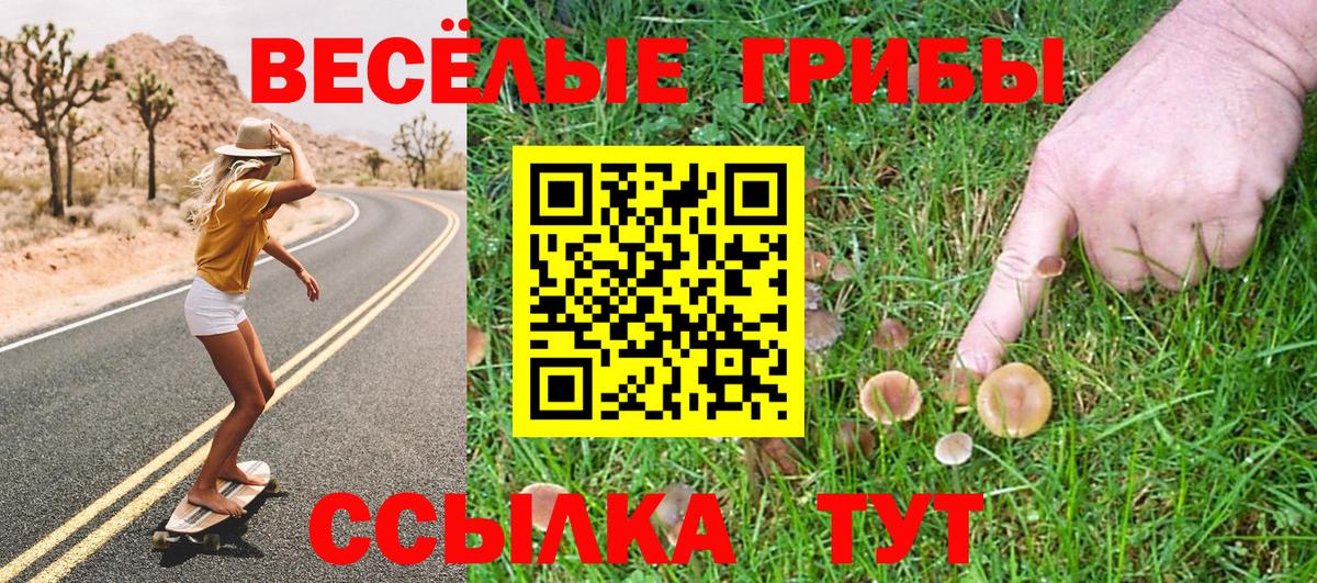 Галлюциногенные грибы Cubensis  Вход с VPN  что такое   Елабуга 